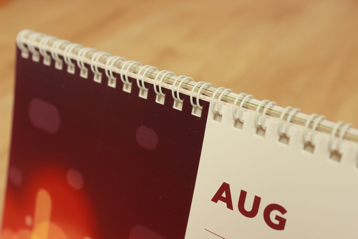 Meme Desk Calendar 2024